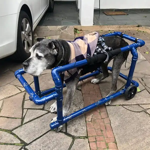 Cadeirinha GG 4 Rodas